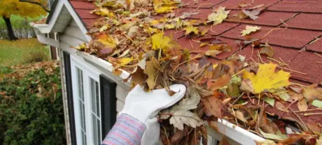 Seasonal Exterior Maintenance in Washington: Why Regular Cleaning Matters in a Damp Climate