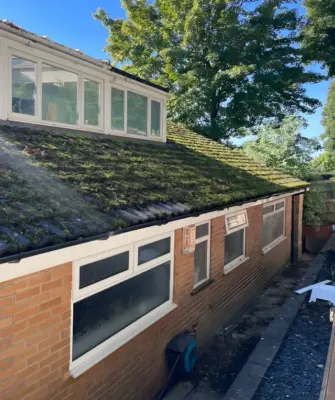 Roof & Gutter Cleaning