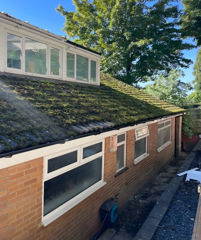 Roof & Gutter Cleaning